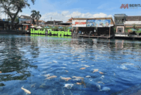 Umbul Air