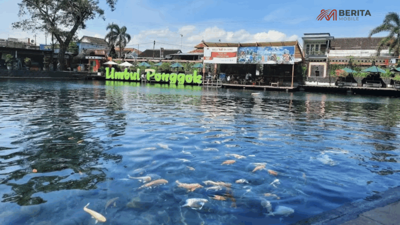 Umbul Air