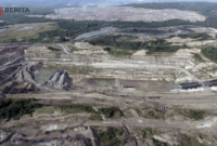Tambang Ilegal Rusak Hutan Lindung di Sumatera Selatan