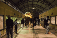 Wisata Malam di Ragunan