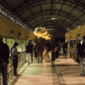 Wisata Malam di Ragunan
