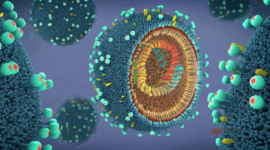 Influenza A Terupdate