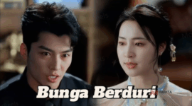 Sinopsis Drama China Bunga Berduri