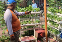 RPTRA Meruya Selatan Kembangkan Urban Farming Edukasi, Panen Timun Laris