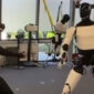 Robot Humanoid Tesla Tunjukkan Kemampuan Bela Diri, Elon Musk Pamer Video Latihan Optimus