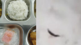 SPPG Klarifikasi Video Viral Ulat di Nasi MBG SMPN 2 Parung (Istimewa)
