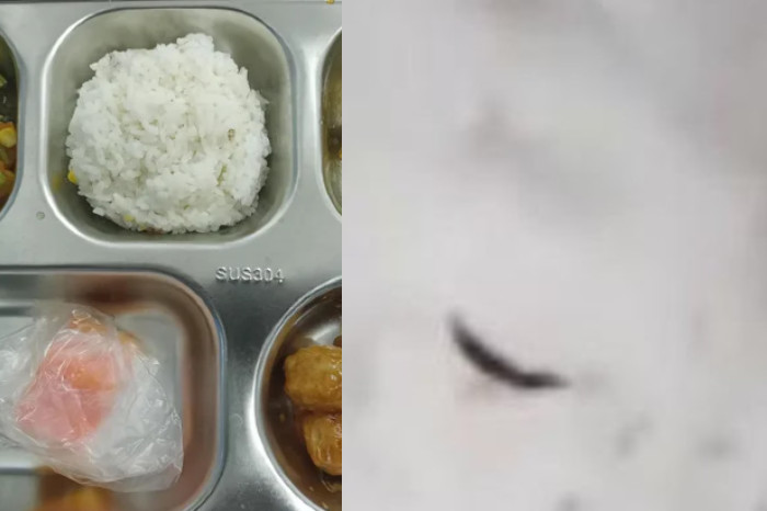 SPPG Klarifikasi Video Viral Ulat di Nasi MBG SMPN 2 Parung (Istimewa)