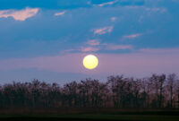 Supermoon Terbesar November 2025 Hiasi Langit Indonesia Minggu Ini