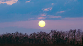 Supermoon Terbesar November 2025 Hiasi Langit Indonesia Minggu Ini