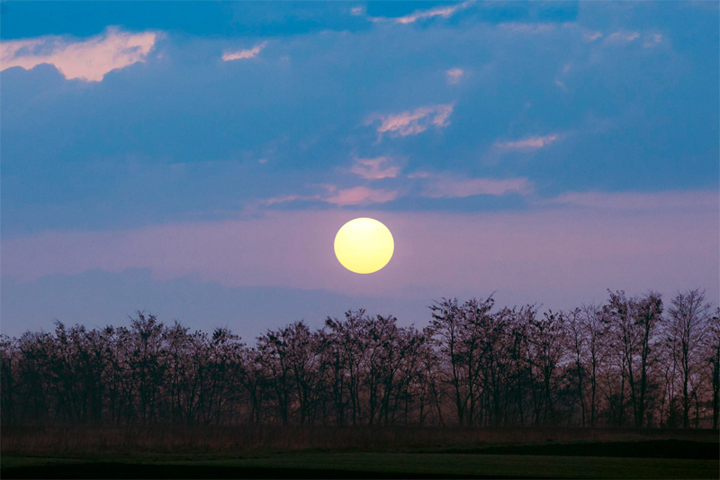 Supermoon Terbesar November 2025 Hiasi Langit Indonesia Minggu Ini