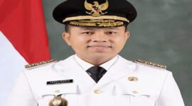 Gubernur Riau