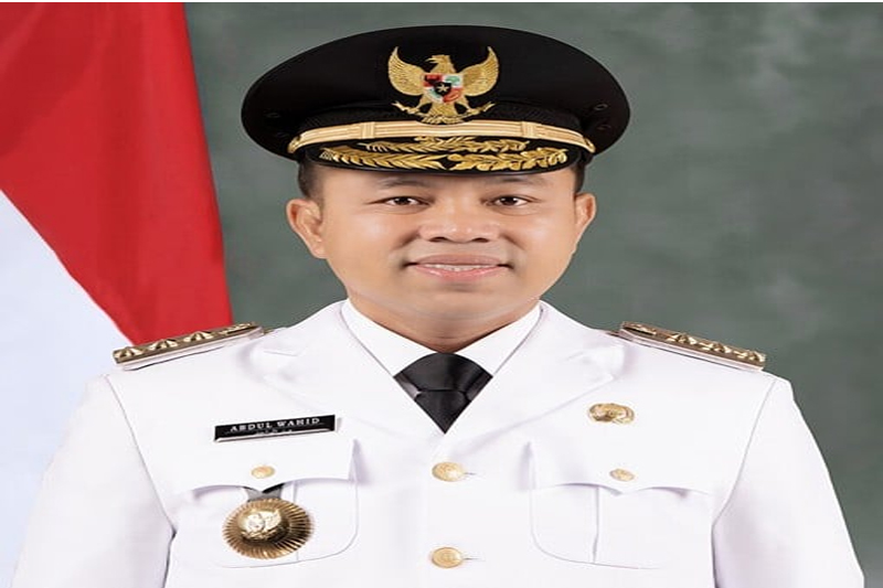 Gubernur Riau