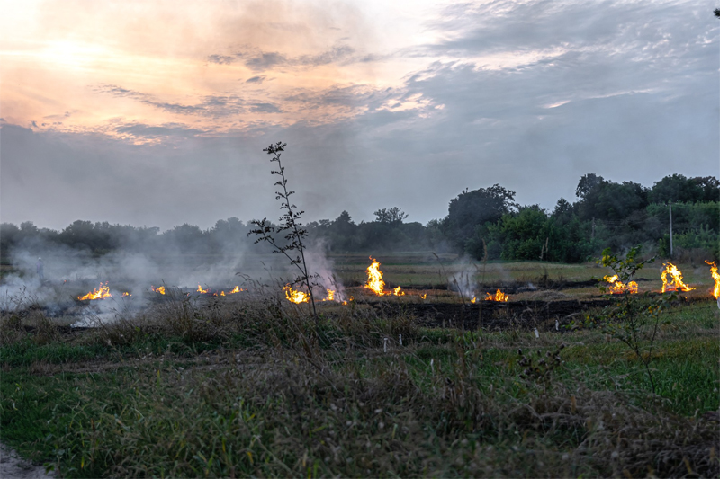 Riau Kembali Membara, BNPB Konfirmasi 2.163 Hektare Lahan Hangus