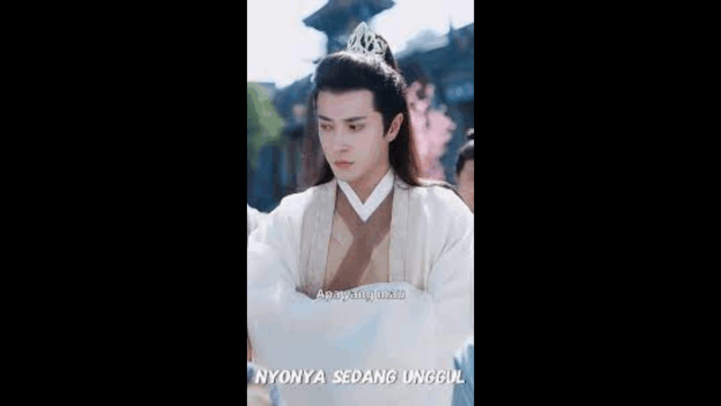 Sinopsis Drama China Nyonya Sedang Unggul