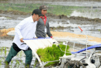 Banjir Mengancam Swasembada Beras