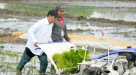 Banjir Mengancam Swasembada Beras