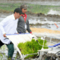 Banjir Mengancam Swasembada Beras