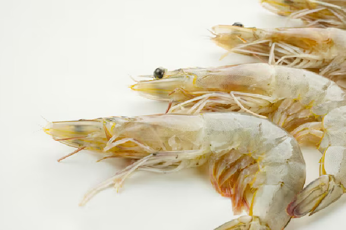 Ilustrasi Udang (Freepik)