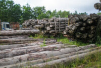 Kerugian Negara Rp447 Miliar Akibat Illegal Logging Mentawai Diserahkan ke Hukum