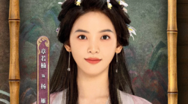 Profil dan Drama Zhang Ruonan