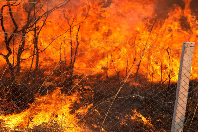 Ratusan Petugas Berjibaku Padamkan Kebakaran Hutan Besar di Provinsi Yunnan China