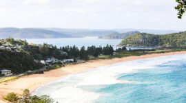 Teror Serangan Hiu di Sydney Paksa Penutupan Massal Pantai Northern Beaches