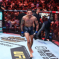 Berita Terbaru UFC Perth